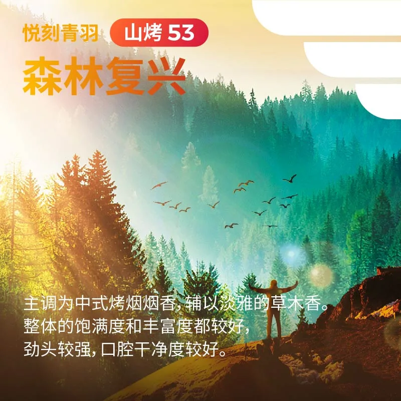 悦刻青羽森林复兴山烤53 缩略图 3
