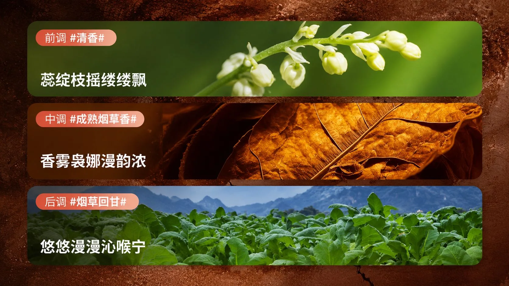悦刻青羽暖夕穿林岩烤42国标烟弹前中调介绍