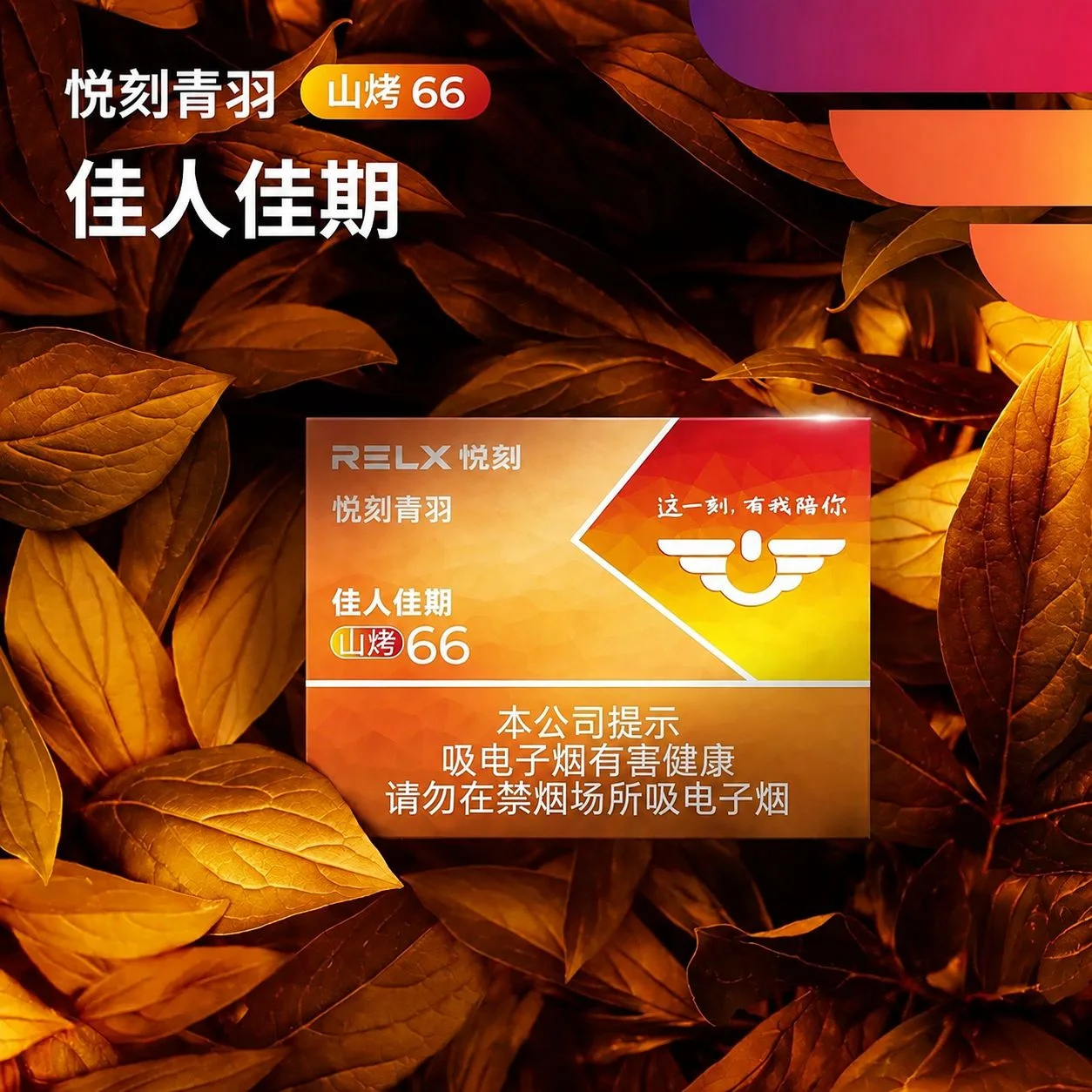 悦刻青羽佳人佳期山烤66 缩略图 2